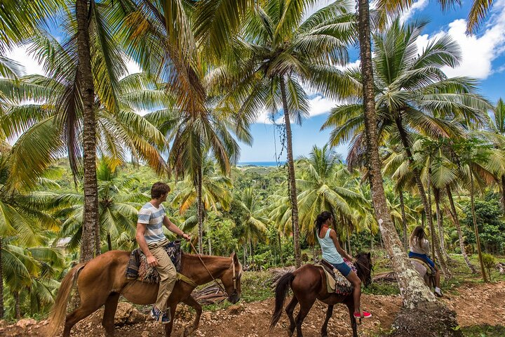 Horseback Riding in the Dominican Jungle - Photo 1 of 13
